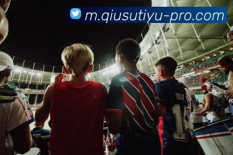 球速体育平台生态图